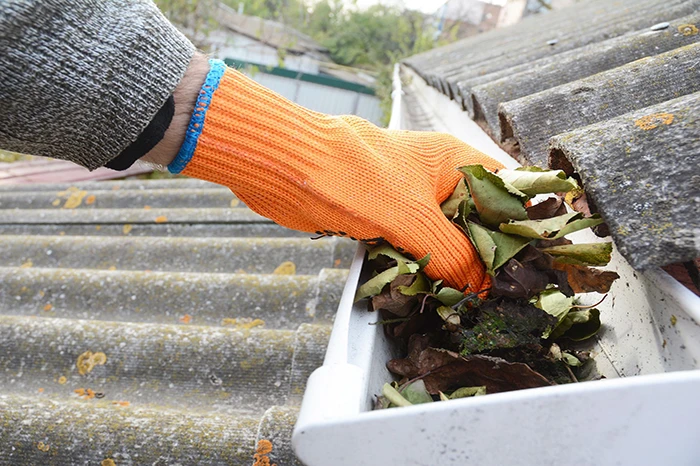 gutter cleaning